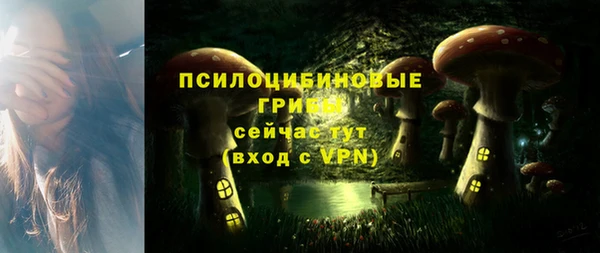 соль ск Алексеевка