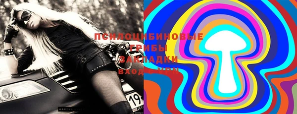 бошки Осинники
