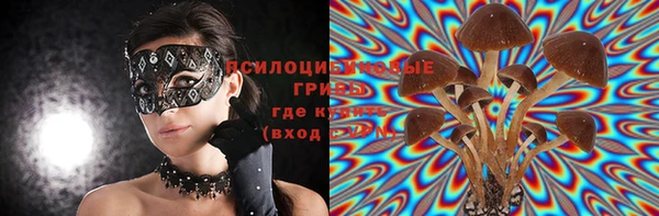 соль ск Алексеевка