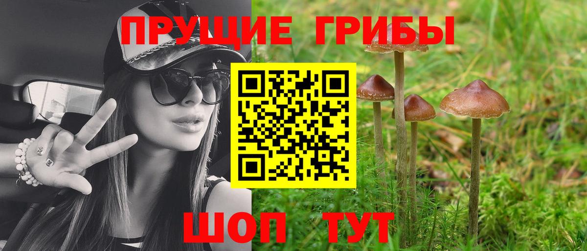 Псилоцибиновые грибы GOLDEN TEACHER Туймазы