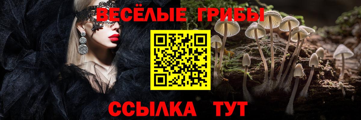 Псилоцибиновые грибы Magic Shrooms  Вход с VPN  Туймазы  Псилоцибиновые грибы Cubensis 